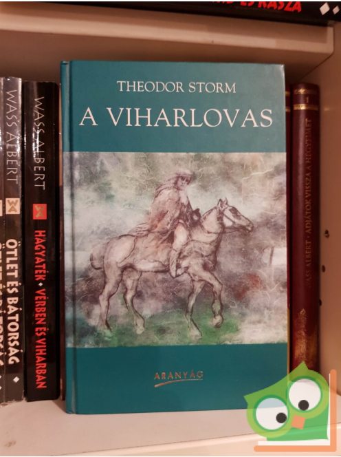 Theodor Storm: A viharlovas