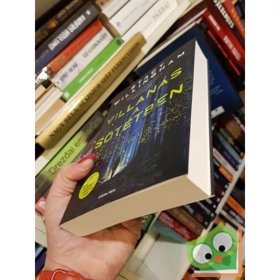 Stacy Willingham: Villanás a sötétben