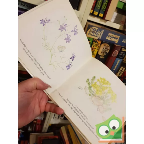 Richter Ilona: Virágok