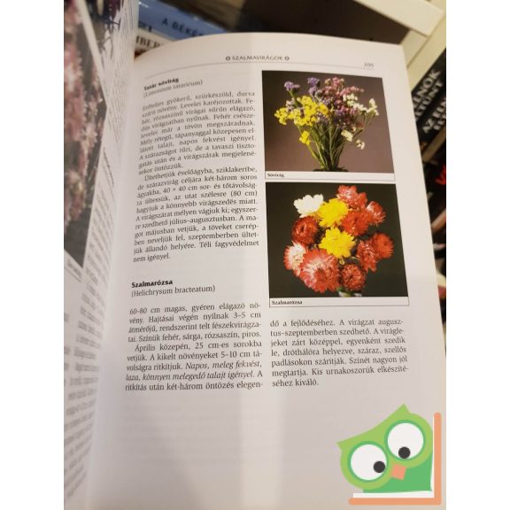 Lelkes Lajos (szerk.): Virágoskert, pihenőkert (Kertészkönyvtár, 2005-ös kiadás)