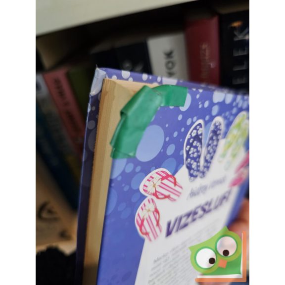 Audrey Vernick: Vizeslufi