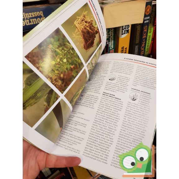 Renate Müller: Vízkultúra