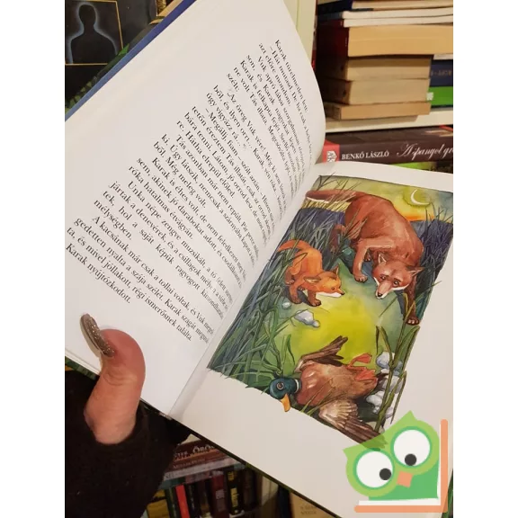 Fekete István: Vuk  (Szalma Edit rajzaival)