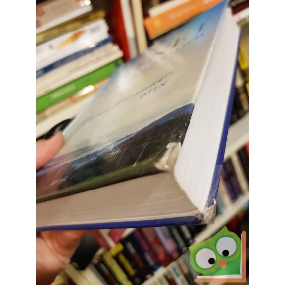 Neale Donald Walsch: Az üzenet (nagyon ritka)