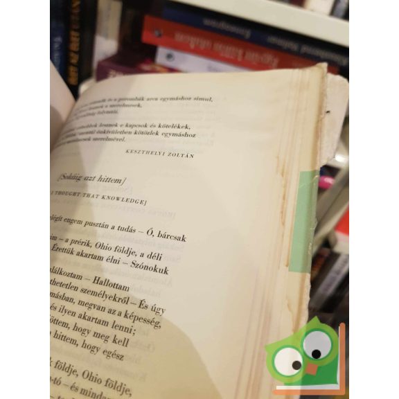 Walt Whitman: Fűszálak (ritka)