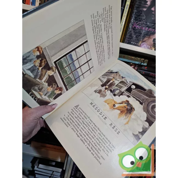 Rosemary Wells: Lassie hazatér (illusztrált kötet)