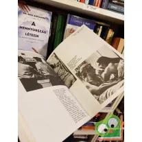   Giannalberto Bendazzi: Woody Allen – A művész, a botrányhős