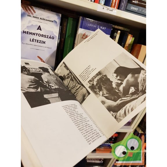 Giannalberto Bendazzi: Woody Allen – A művész, a botrányhős