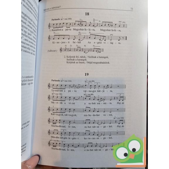 Sárosi Bálint: Zenei anyanyelvünk (Jelenlévő múlt sorozat)  (ritka)