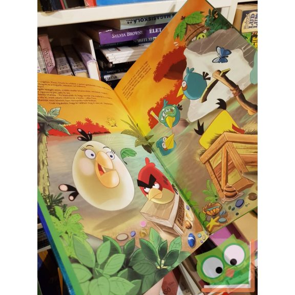 Tapani Bagge: Angry Birds - A zöld madár rejtélye