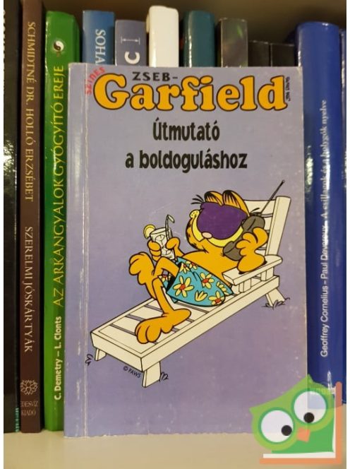 Jim Davis: Zseb-Garfield 38 - Útmutató a bolduguláshoz