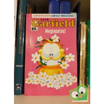 Jim Davis: Zseb-Garfield 80 - Meglepetés!