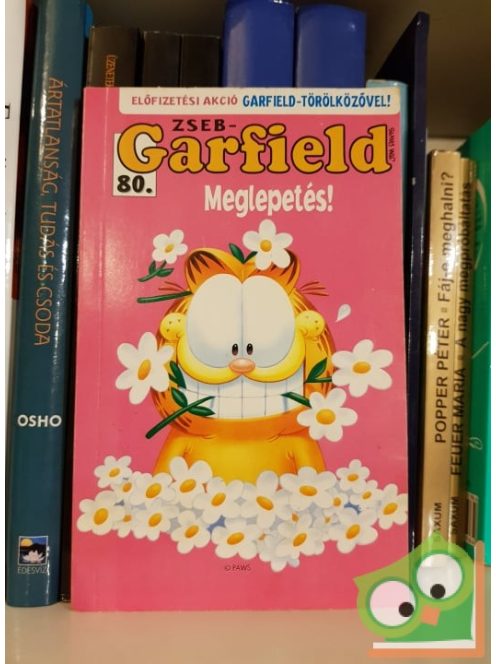 Jim Davis: Zseb-Garfield 80 - Meglepetés!