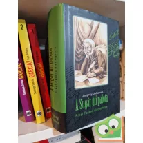   Zsigray Julianna: A ​Sugár úti palota - Erkel Ferenc életregénye