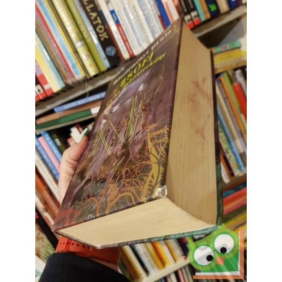 Böszörményi Gyula: Zsófi és az ősboszorkány (nagyon ritka)