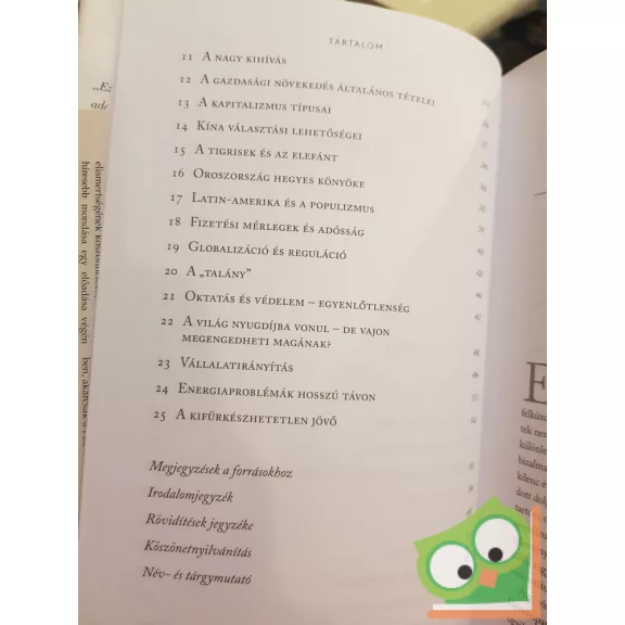 Alan Greenspan: A zűrzavar kora (HVG)